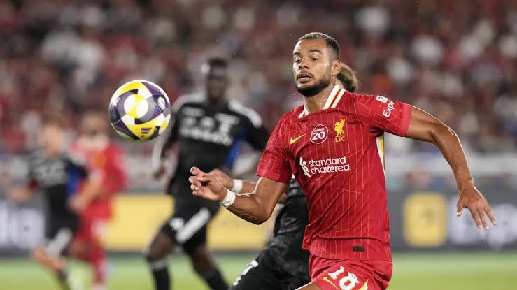 Fernandes